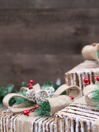 Ultimate Christmas Gift